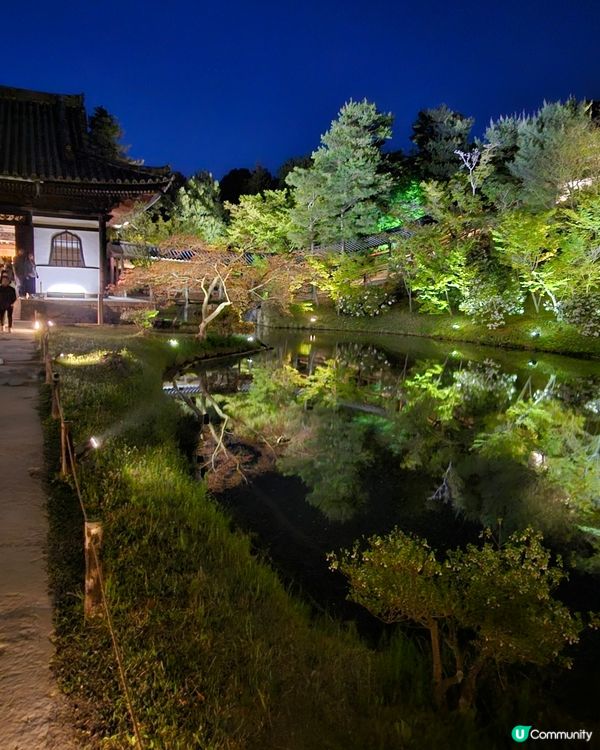 京都高台寺夜間特別參拜