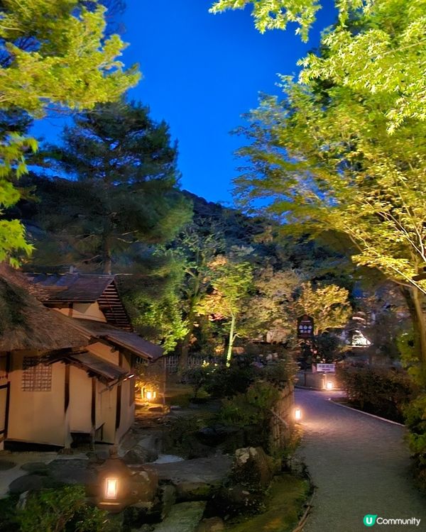 京都高台寺夜間特別參拜