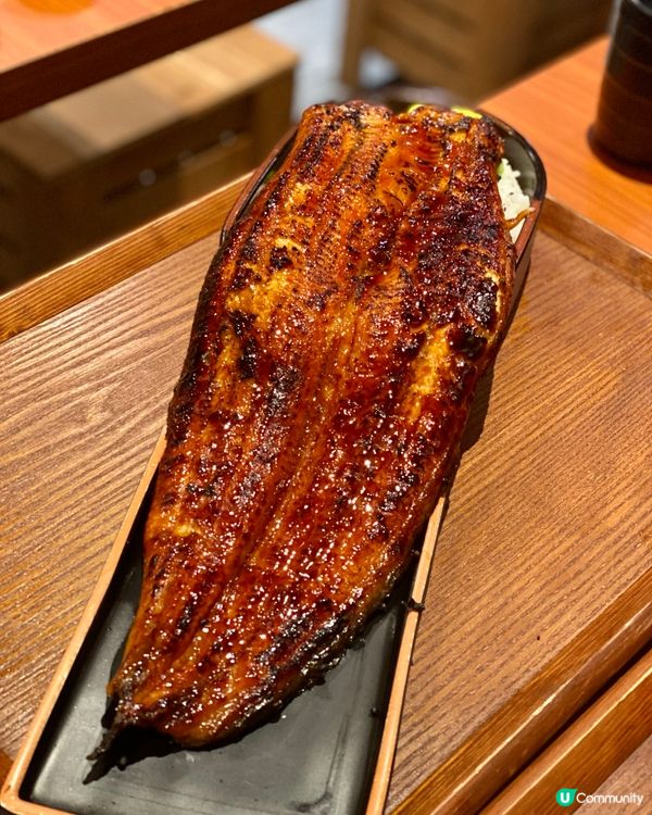 ❗️抵食巨大化燒鰻魚人龍店