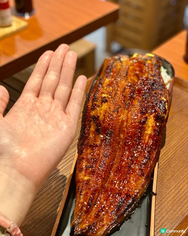 ❗️抵食巨大化燒鰻魚人龍店