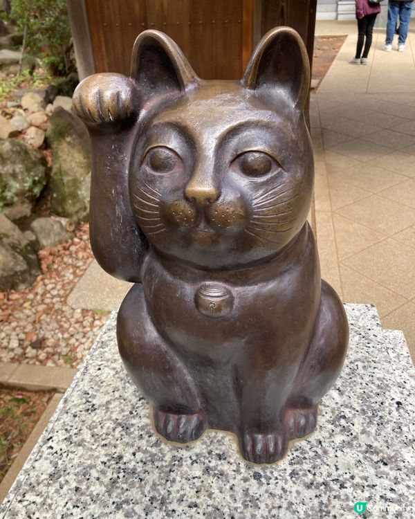 日本豪德寺 好多好多招財貓