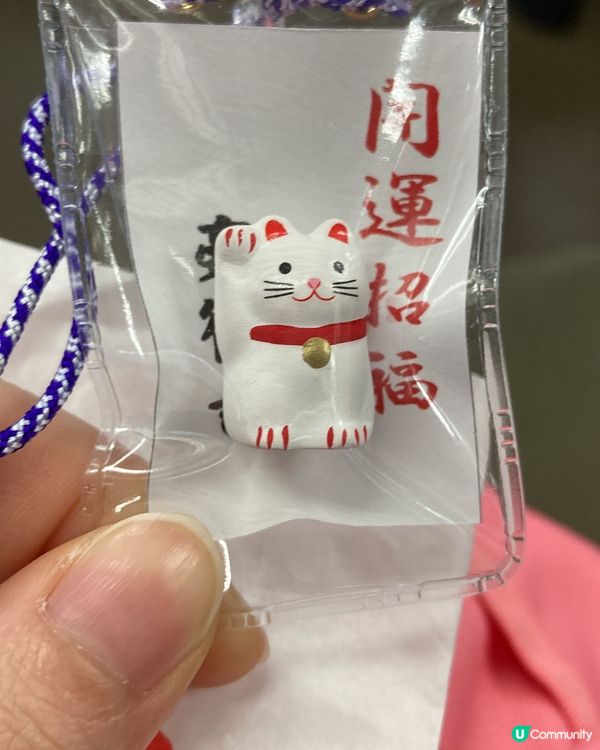 日本豪德寺 好多好多招財貓