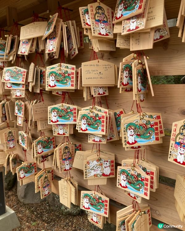 日本豪德寺 好多好多招財貓