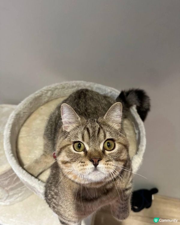 歐美最夯的地中海飲食法