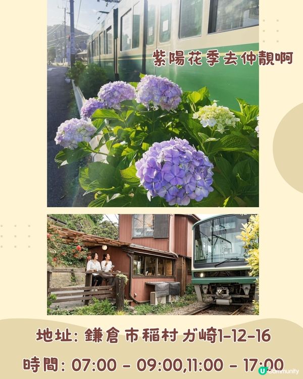 東京近郊鎌倉10大必吃美食🇯🇵絕美日落餐廳🌅/座落江之電旁💙