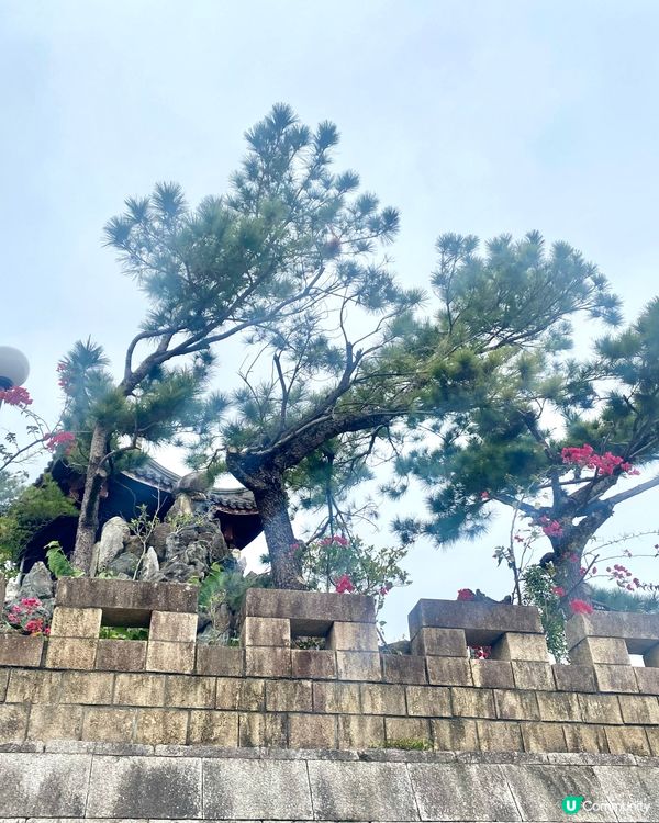 【福州園】山明水秀庭院🌾見證琉球與福州的歷史關係