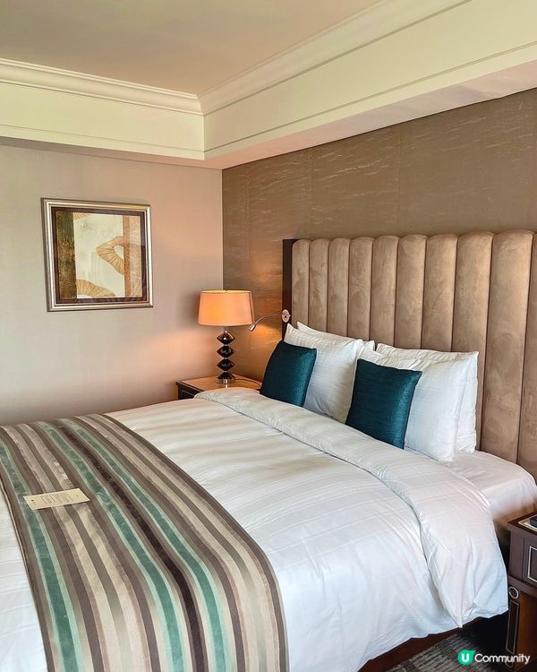 釜山樂天酒店🤍住宿體驗分享