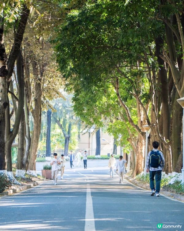 🏫 深圳大學 保姆級參觀攻略 ❇️ 文末附預約教程📎