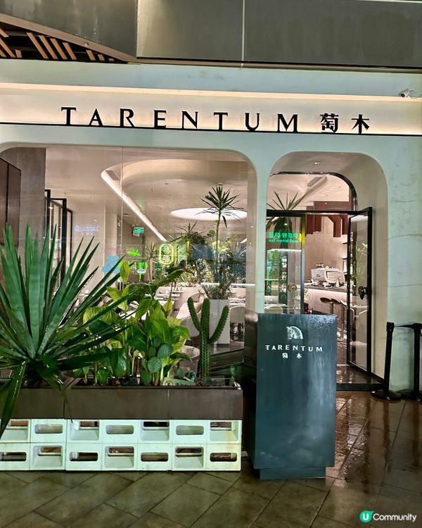 🍰深圳當地人推介嘅超高性價比地中海菜萄木🥗