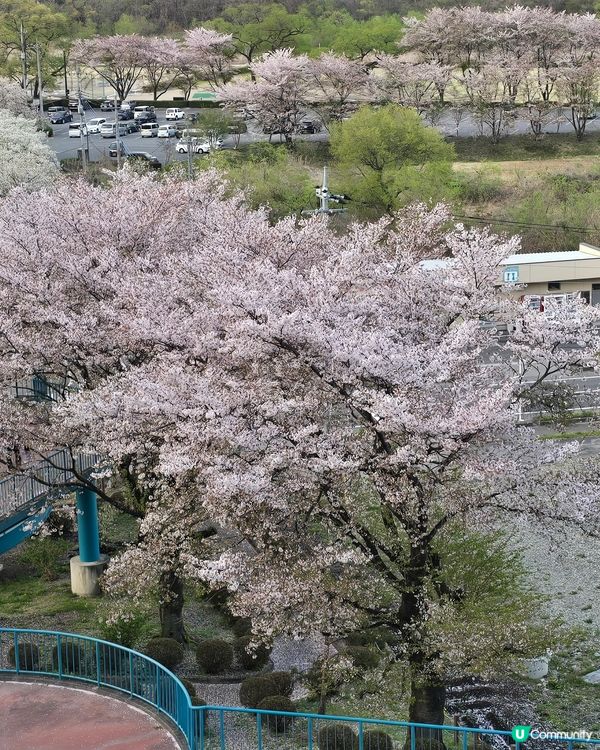 東京快閃之旅 近郊篇 那須塩原