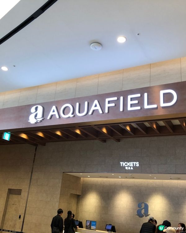 🎐首爾- 高陽AquaField汗蒸幕