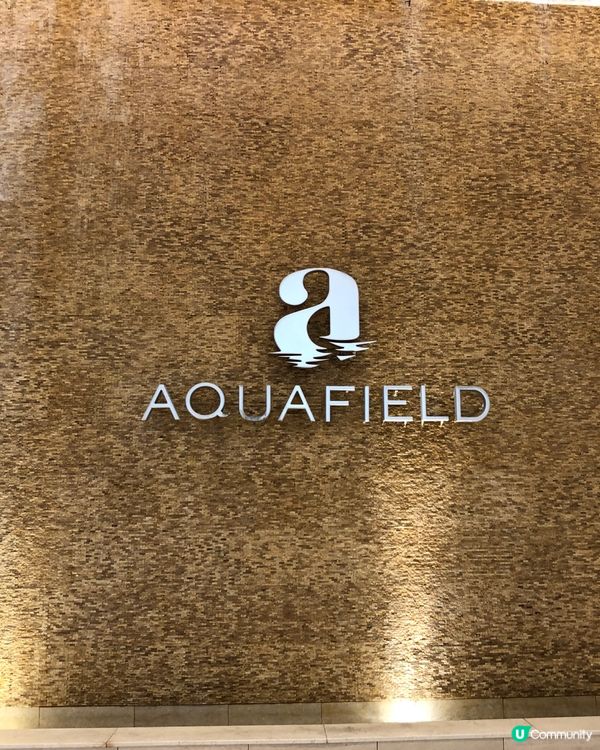 🎐首爾- 高陽AquaField汗蒸幕