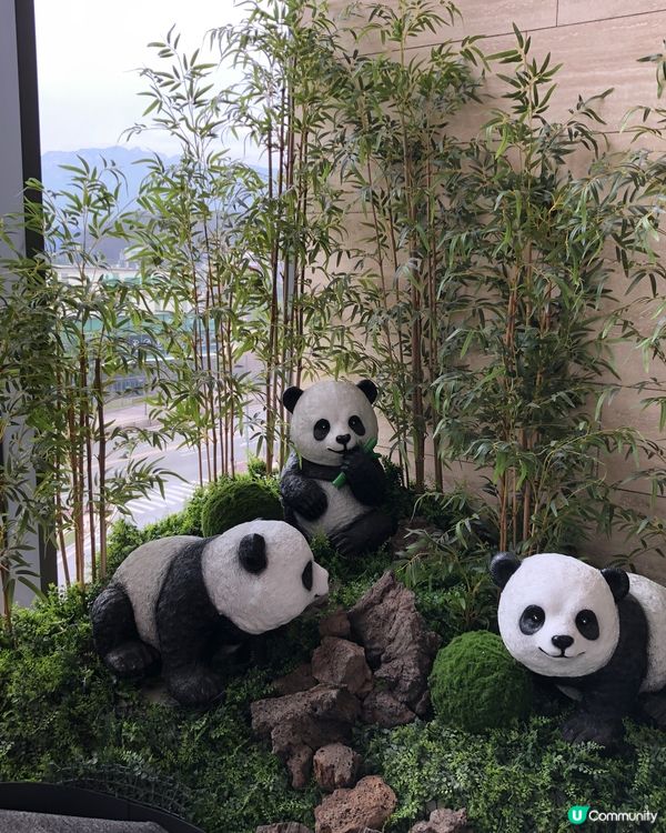 🎐首爾- 高陽AquaField汗蒸幕