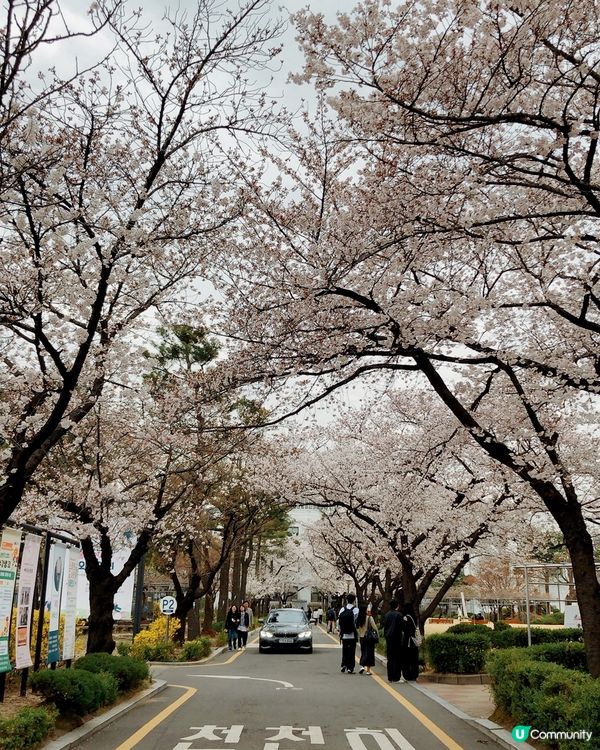 🎐首爾- 正讀圖書館
