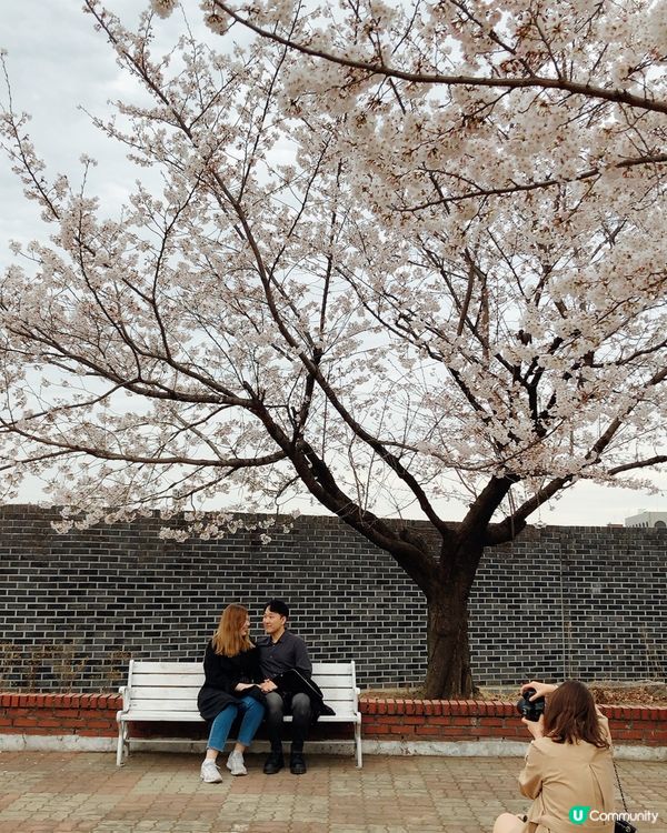 🎐首爾- 正讀圖書館