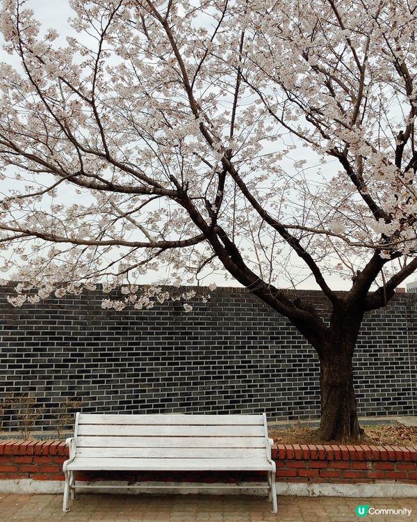 🎐首爾- 正讀圖書館