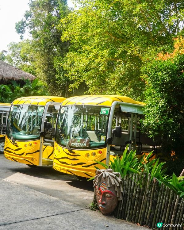 【越南最大野生動物園，近距離接觸動物】 