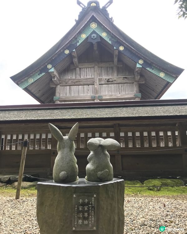 連兔仔都會參拜的神社⛩️