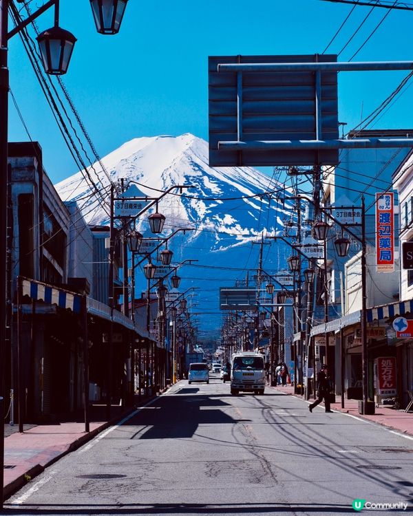 富士山櫻花之旅