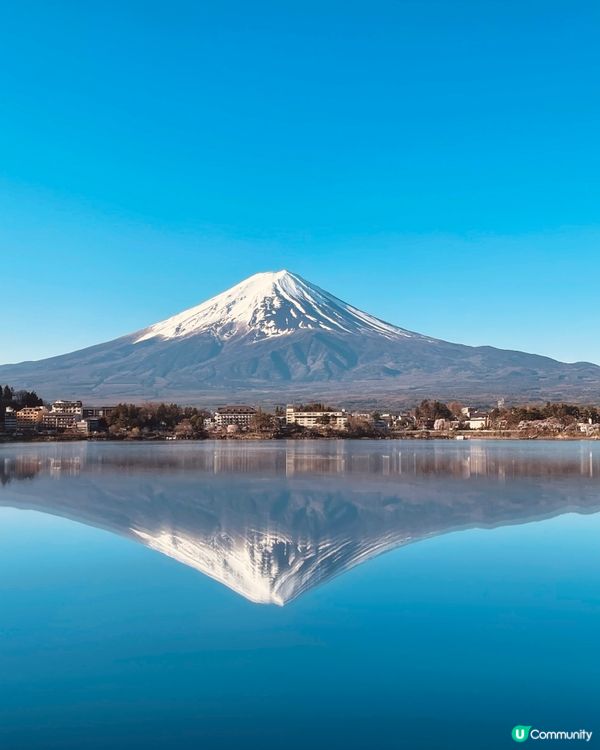 富士山櫻花之旅