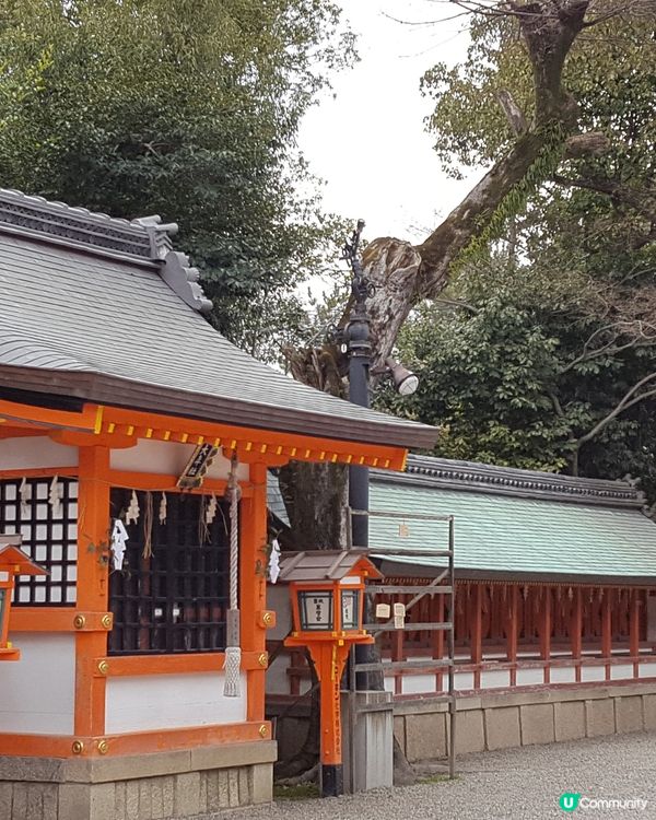 京都神社⛩️