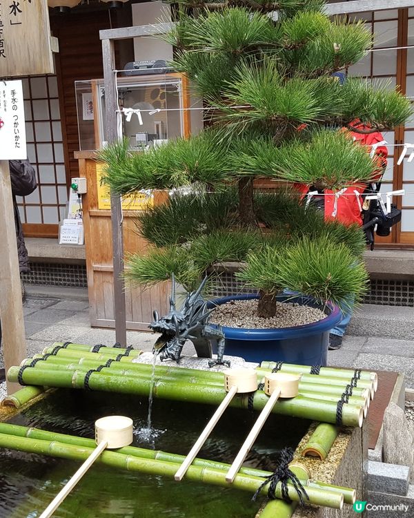 京都神社⛩️