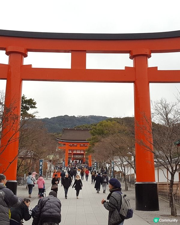 京都神社⛩️