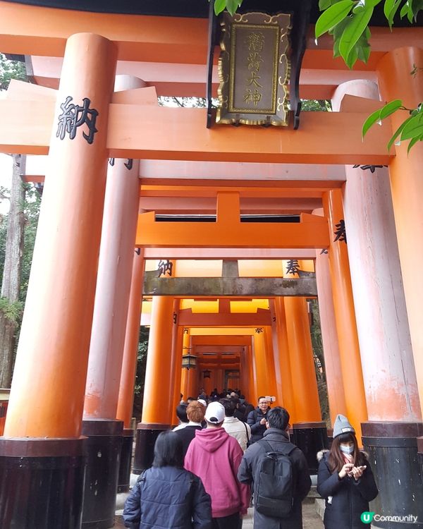 京都神社⛩️