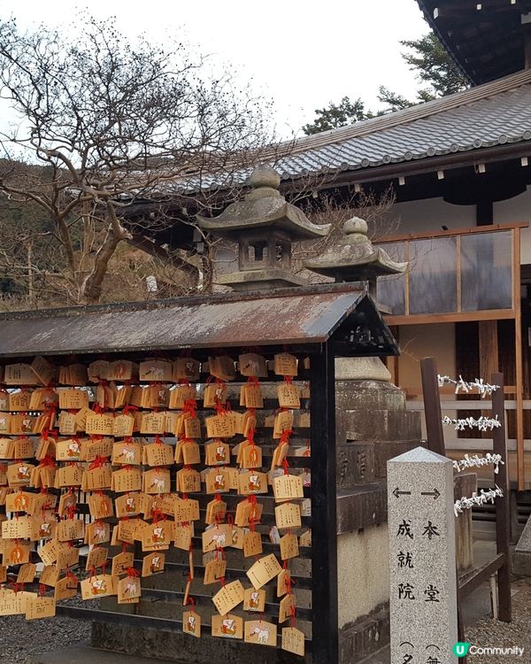 京都神社⛩️