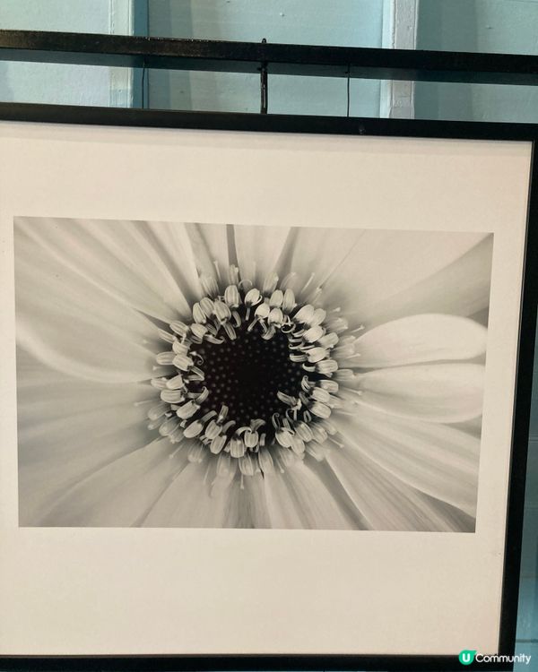 悠閒的清邁之旅