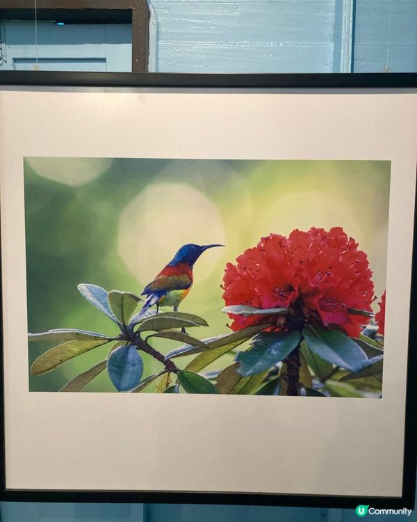 悠閒的清邁之旅