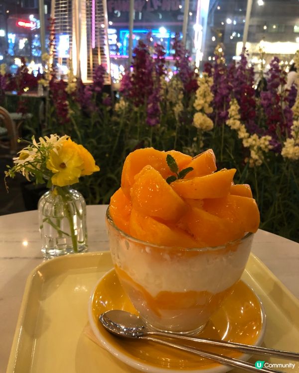 🎐首爾- 合井站夜櫻