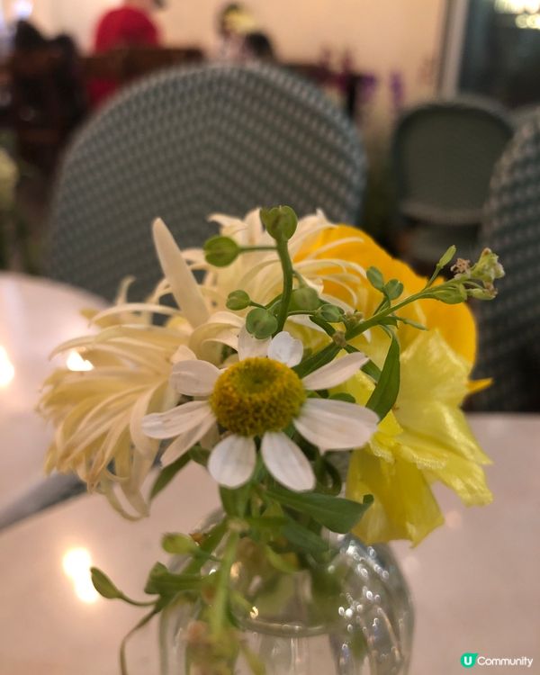 🎐首爾- 合井站夜櫻