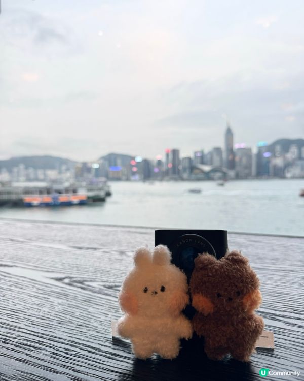 LINE FRIENDS x PIZZA MARU💛生日派對