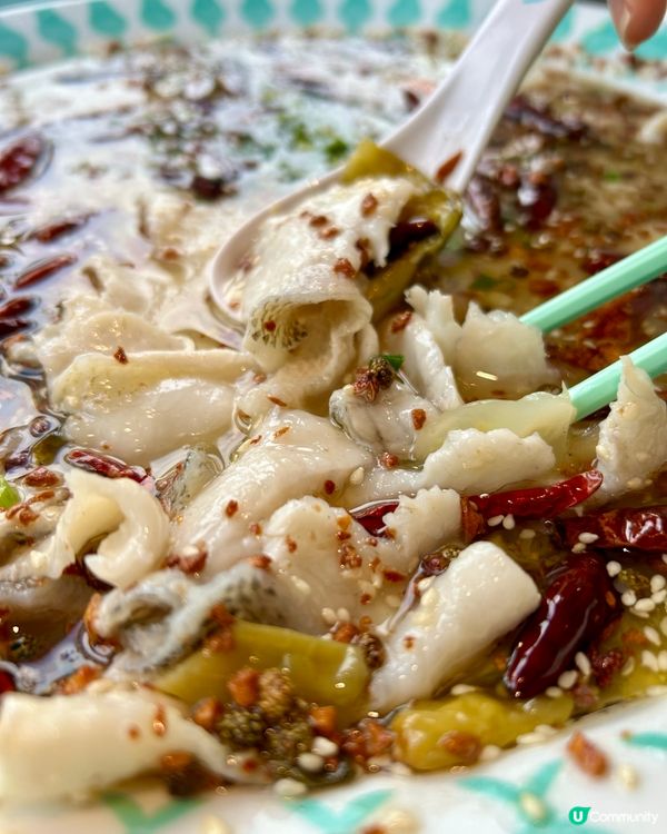 酸菜魚同北京片皮鴨兩款美食組合好正！