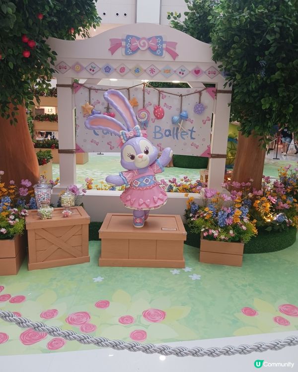 LinaBell打卡熱點