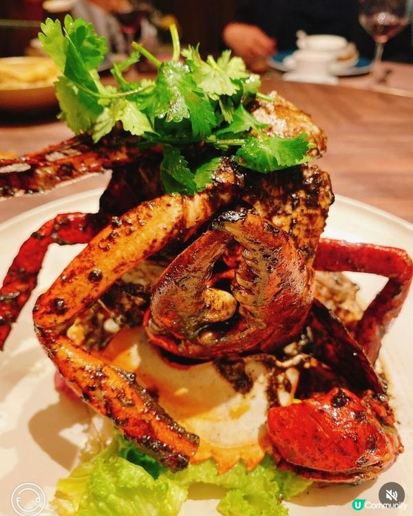 海港城海鮮餐🦐🦞🦀🦑