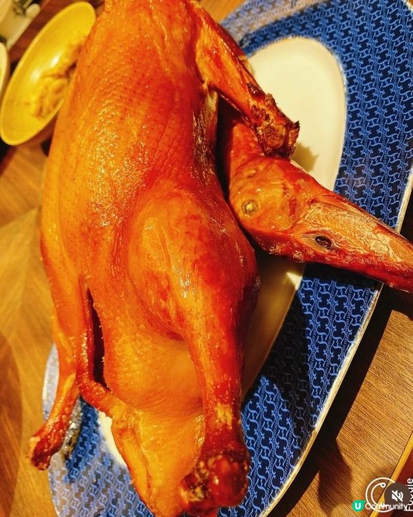 海港城海鮮餐🦐🦞🦀🦑