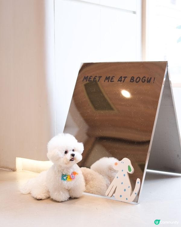 狗狗都有珠寶㗎💍