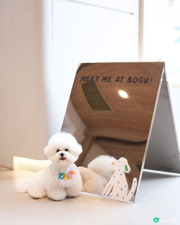 狗狗都有珠寶㗎💍