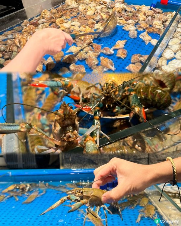 深圳超人氣自助餐🦞人均兩百 活海鮮任食