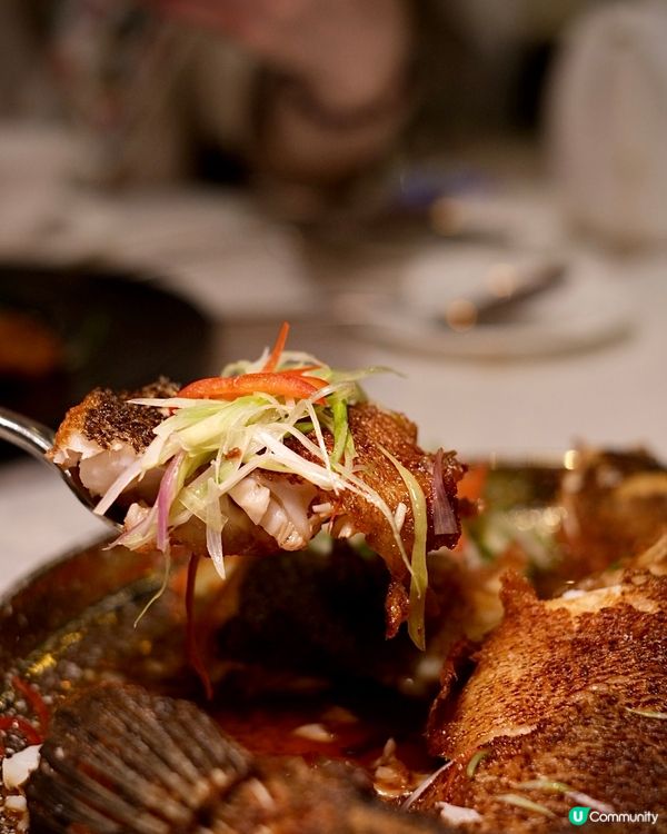 米芝蓮食府春到嚐鮮順德菜