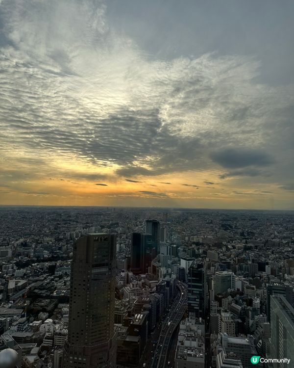 東京渋谷（涉谷）Shibuya Sky 行程攻略📸