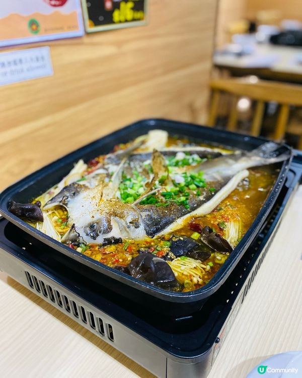 尖沙咀➡️➡️➡️烏蠅館