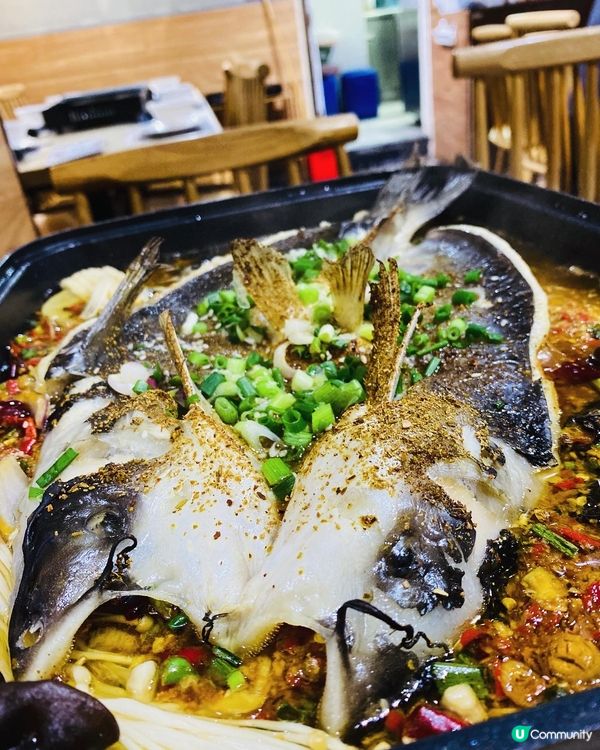 尖沙咀➡️➡️➡️烏蠅館