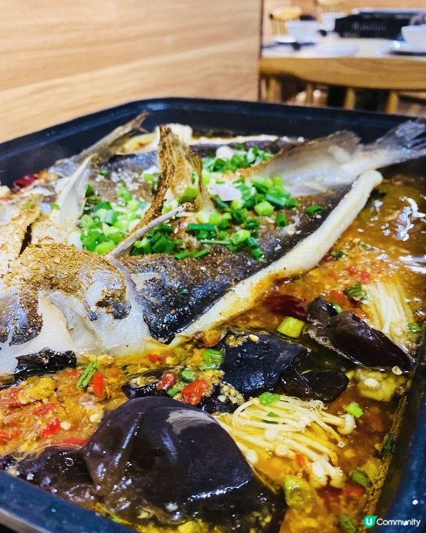 尖沙咀➡️➡️➡️烏蠅館