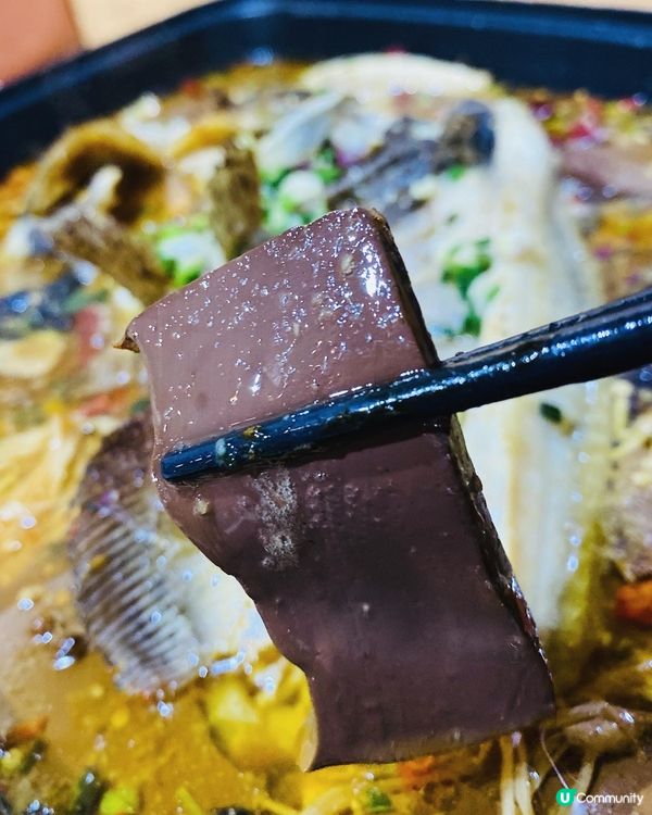 尖沙咀➡️➡️➡️烏蠅館