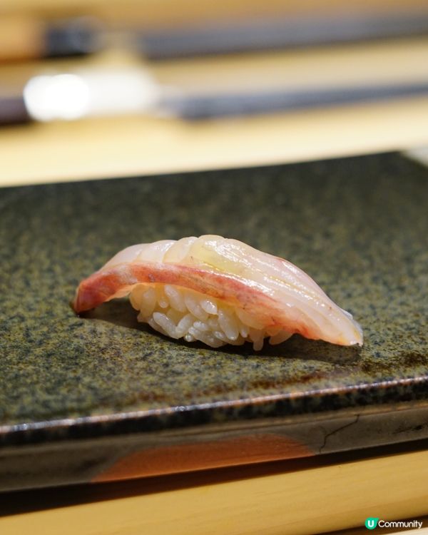 【尖沙咀 ✦ 好高質+放鬆Omakase❤️】