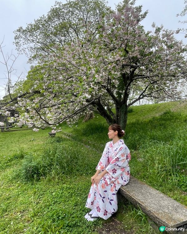 福岡遊の舞鶴公園🌸