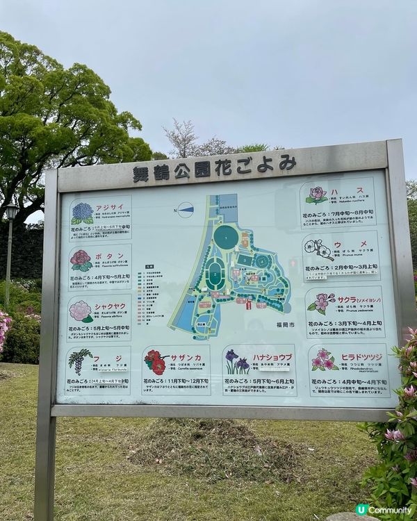 福岡遊の舞鶴公園🌸